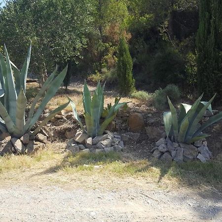 Bed and Breakfast La Loubiere, Ancienne Bergerie En Pleine Garrigue Fraisse-des-Corbieres Екстер'єр фото