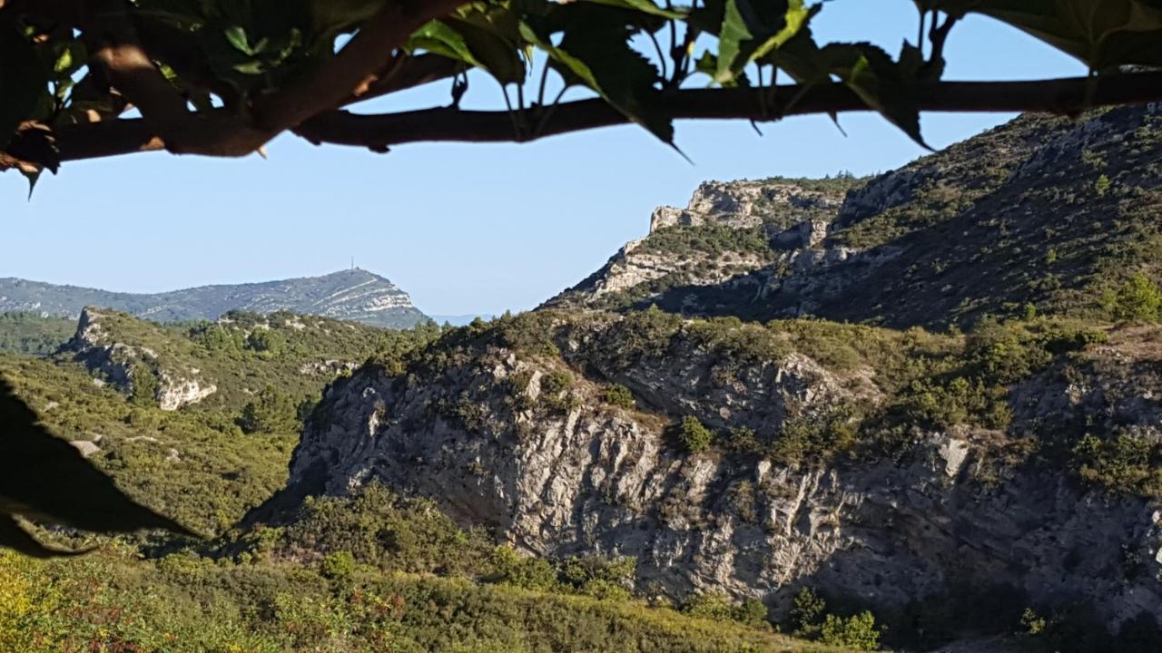 Bed and Breakfast La Loubiere, Ancienne Bergerie En Pleine Garrigue Fraisse-des-Corbieres Екстер'єр фото