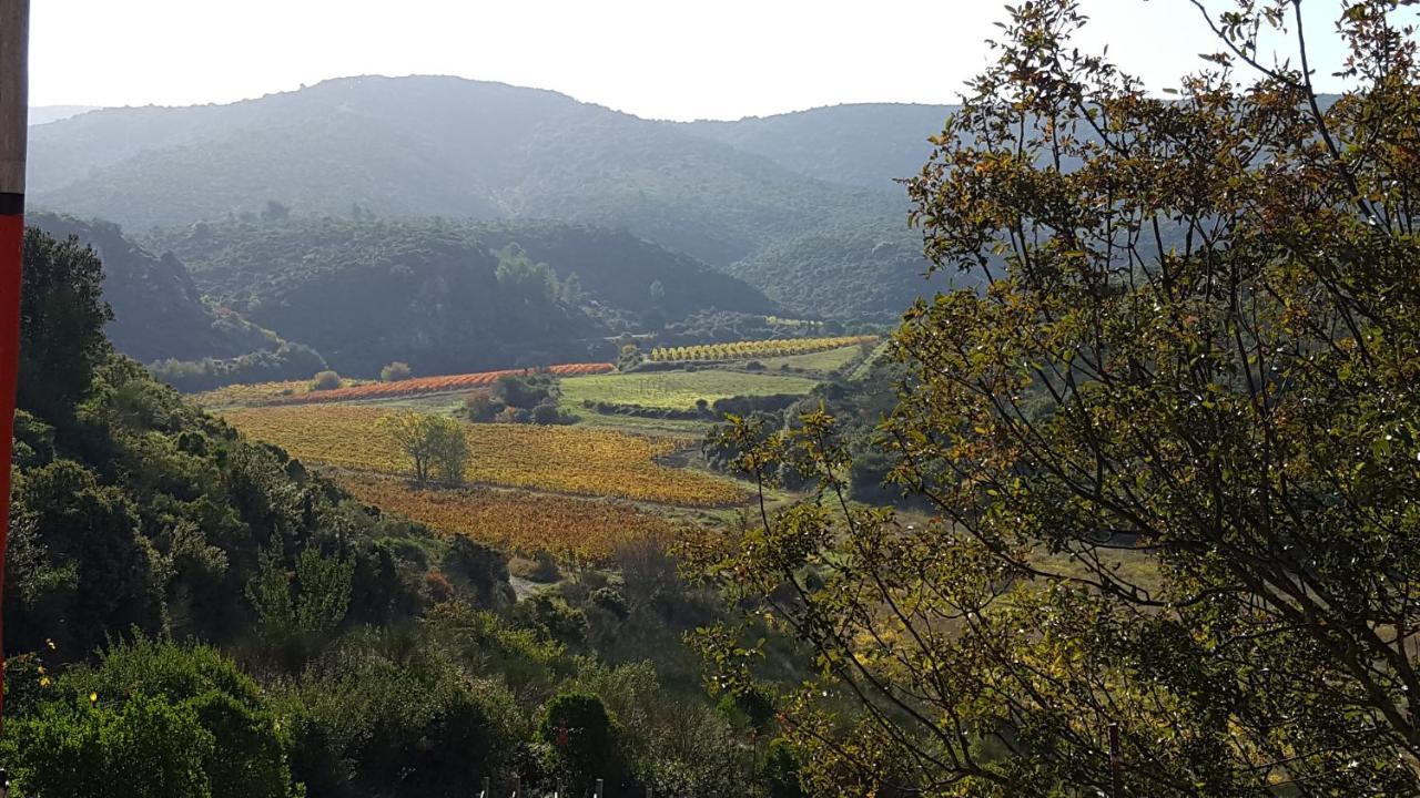 Bed and Breakfast La Loubiere, Ancienne Bergerie En Pleine Garrigue Fraisse-des-Corbieres Екстер'єр фото