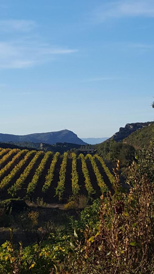 Bed and Breakfast La Loubiere, Ancienne Bergerie En Pleine Garrigue Fraisse-des-Corbieres Екстер'єр фото