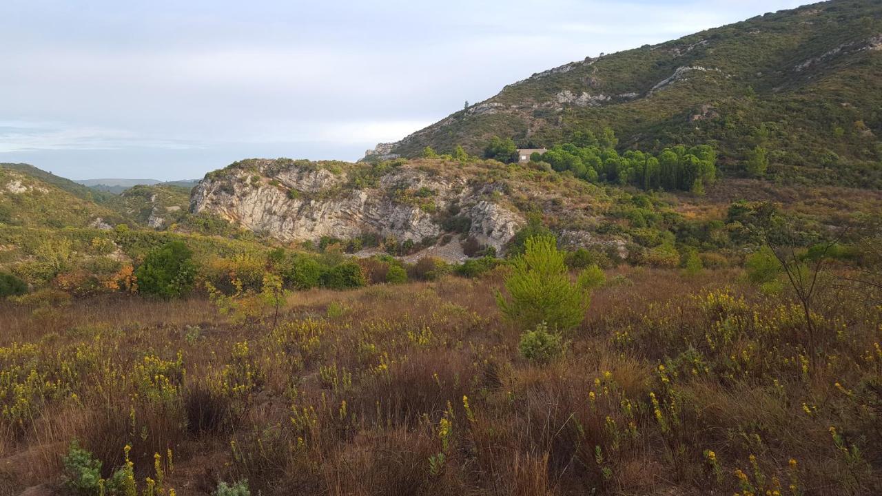 Bed and Breakfast La Loubiere, Ancienne Bergerie En Pleine Garrigue Fraisse-des-Corbieres Екстер'єр фото